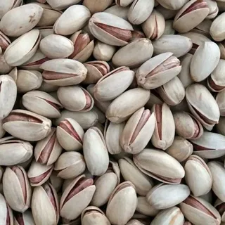 تصویر 3 از پسته اکبری انس ۲۲ خوش‌ طعم اعلا